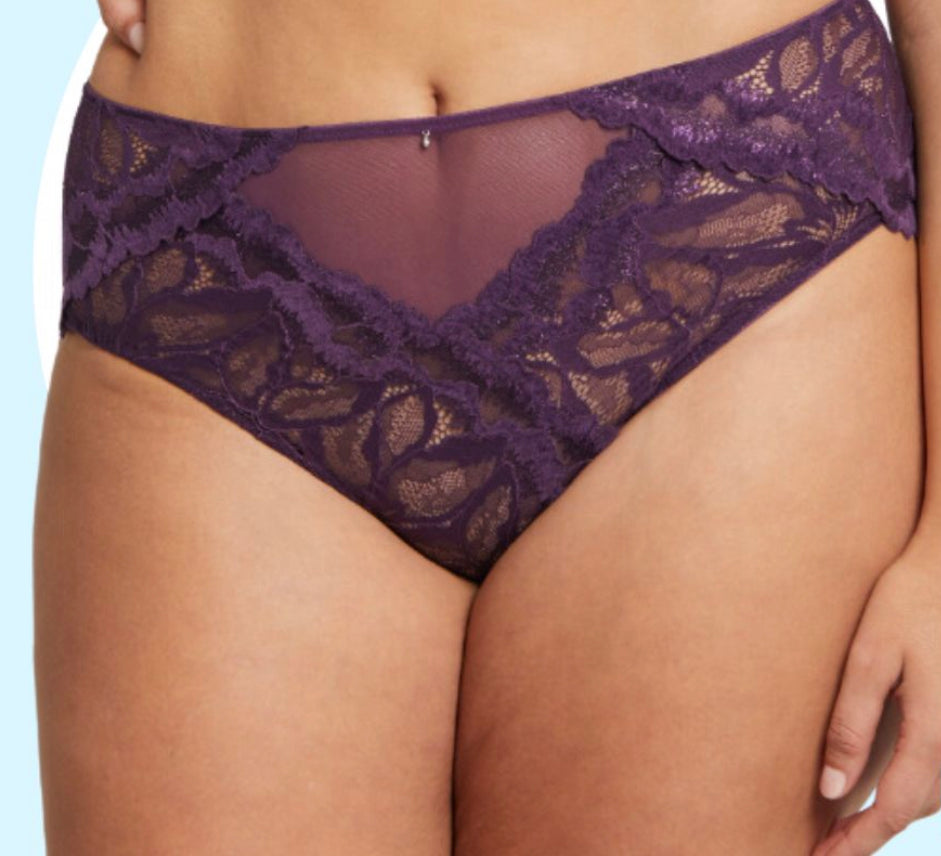 Montelle Royal Lace Brief Pinot